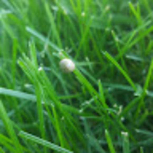 Meet your Posher, Render - Picture 1 of 1